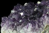 Purple Amethyst Cluster - Uruguay #66788-2